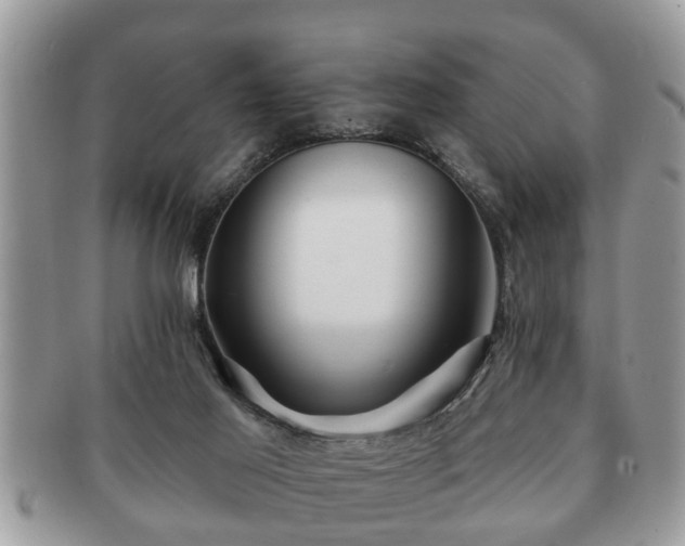 X0000091170021200708161507