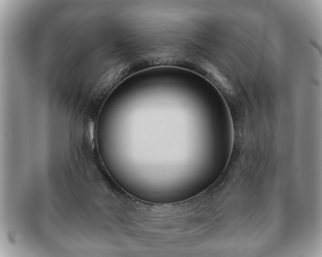 X0000091170022200708161507