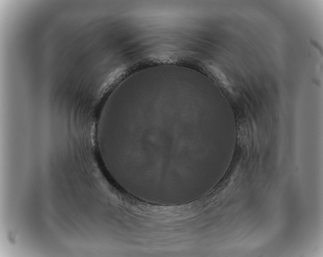 X0000091170023200708161507