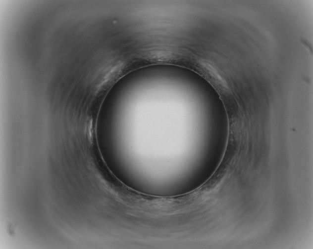 X0000091170024200708161507