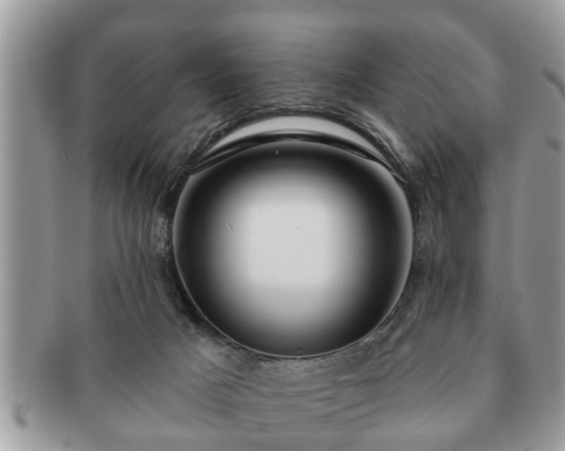 X0000091170025200708161507