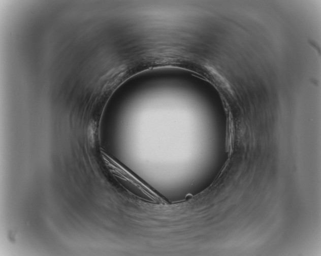 X0000091170026200708161507