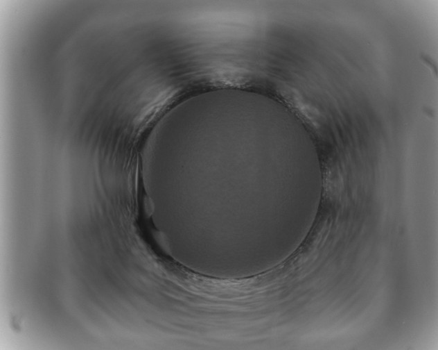 X0000091170027200708161507