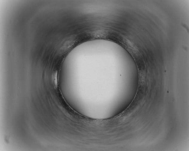 X0000091170028200708161507