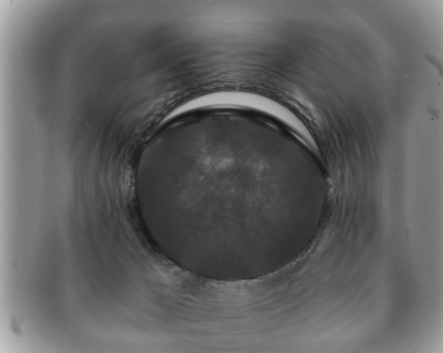 X0000091170029200708161507