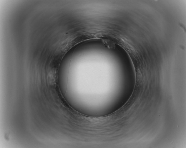 X0000091170030200708161507