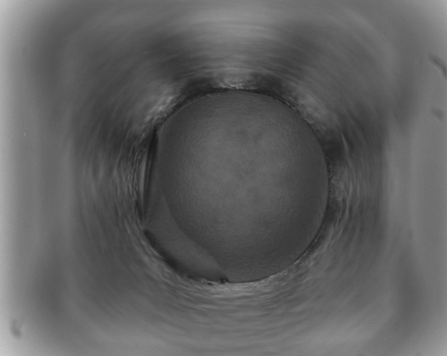 X0000091170031200708161507