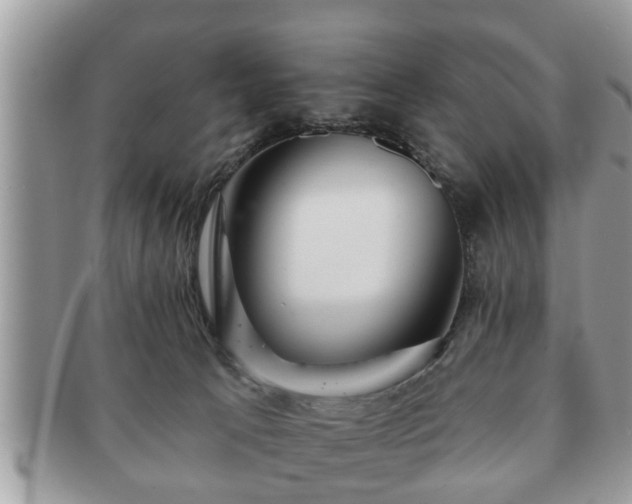 X0000091170033200708161507