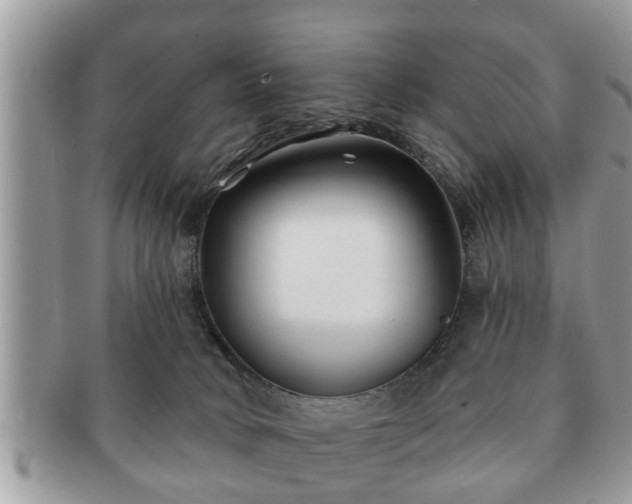 X0000091170034200708161507