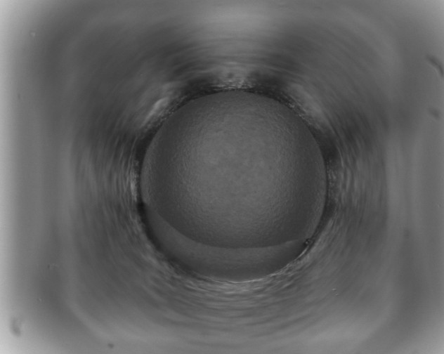 X0000091170035200708161507