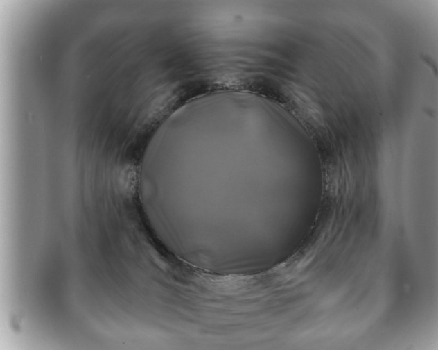 X0000091170036200708161507