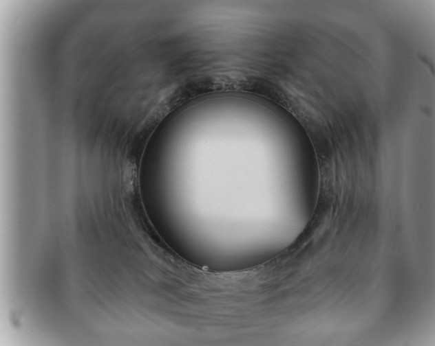 X0000091170038200708161507