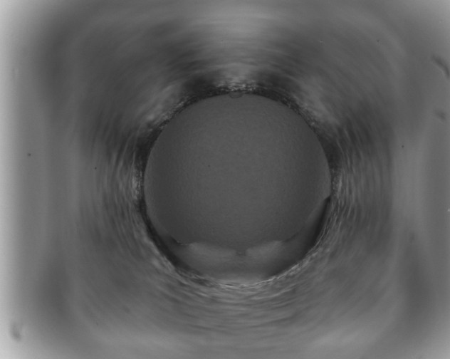 X0000091170039200708161507