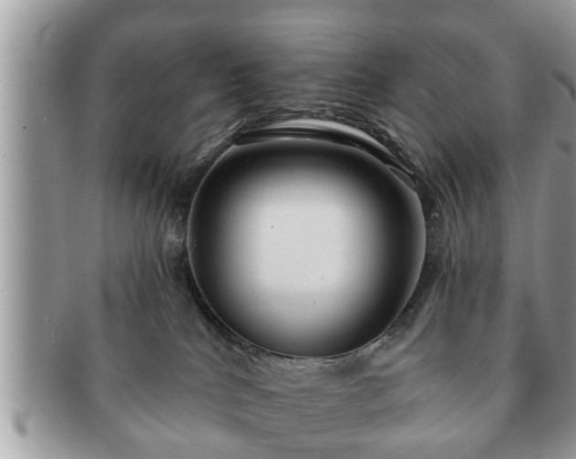 X0000091170040200708161507