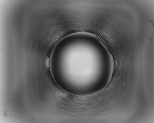 X0000091170041200708161507