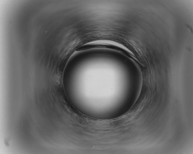 X0000091170044200708161507