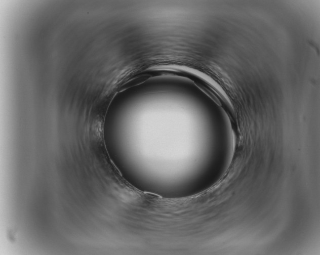 X0000091170045200708161507