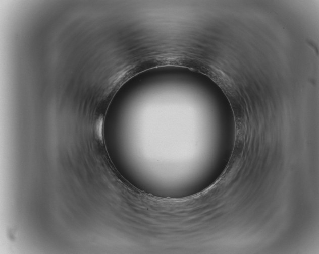 X0000091170047200708161507