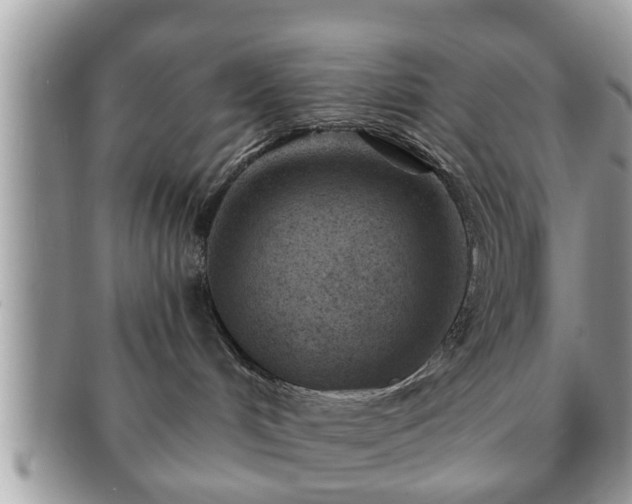 X0000091170048200708161507