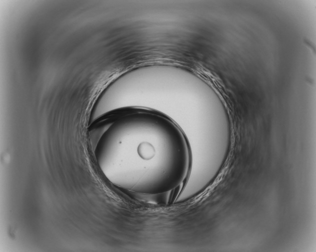 X0000091170049200708161506