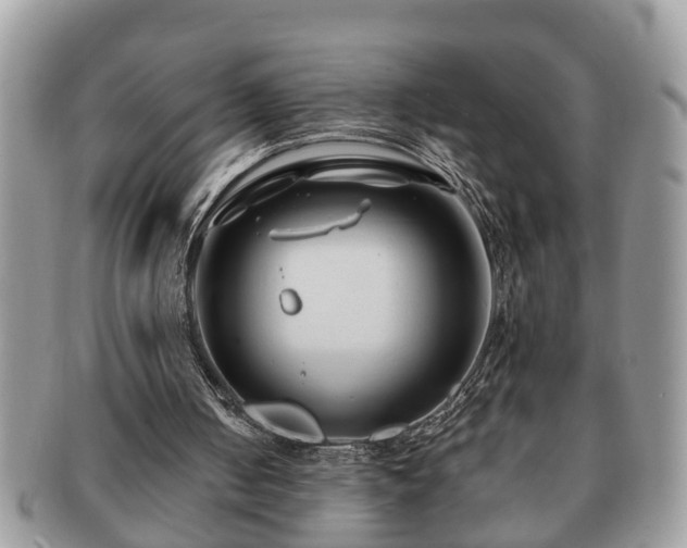 X0000091170050200708161506