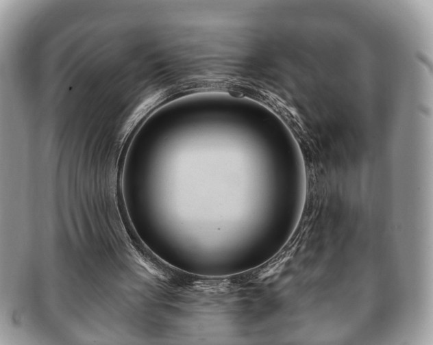 X0000091170051200708161506