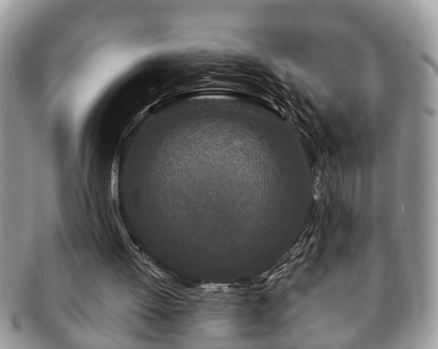 X0000091170052200708161506