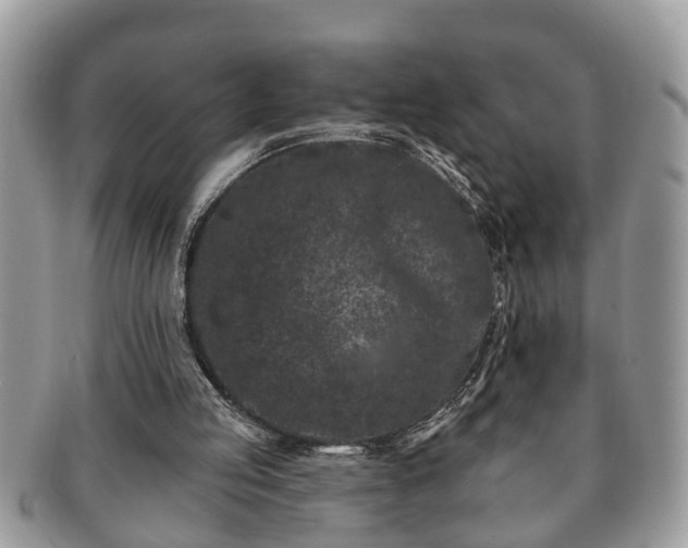 X0000091170053200708161506