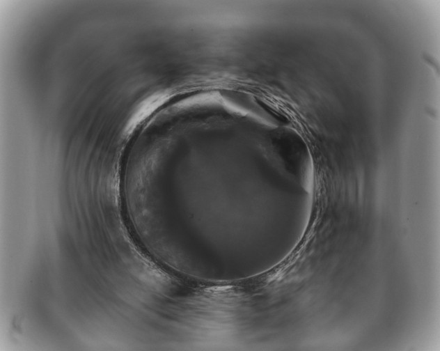 X0000091170054200708161506