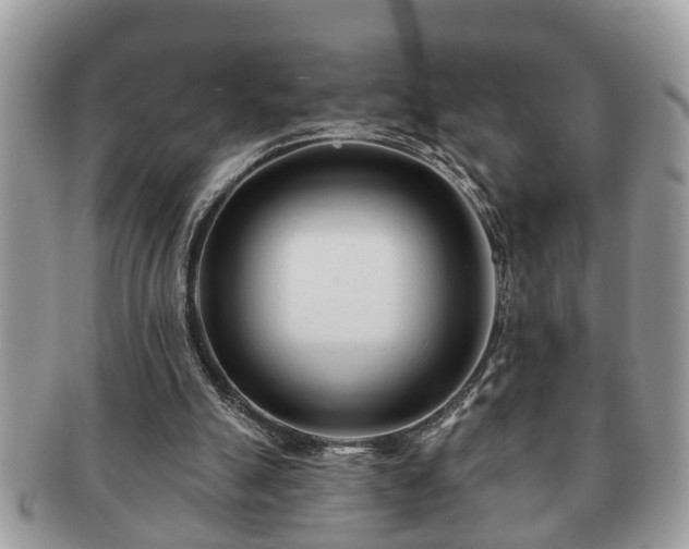 X0000091170055200708161506