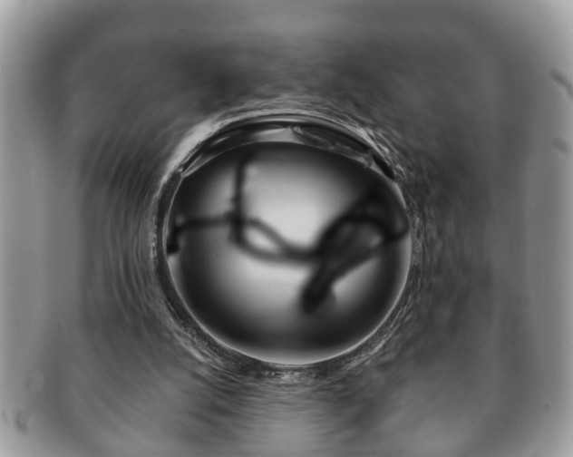 X0000091170056200708161506