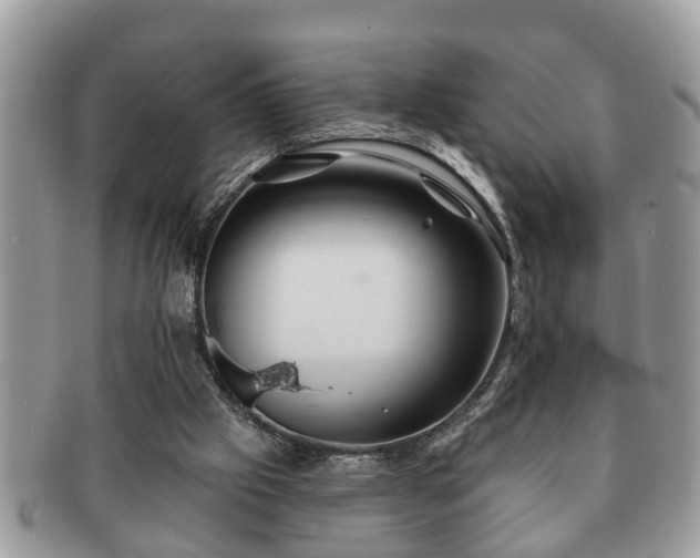 X0000091170057200708161506