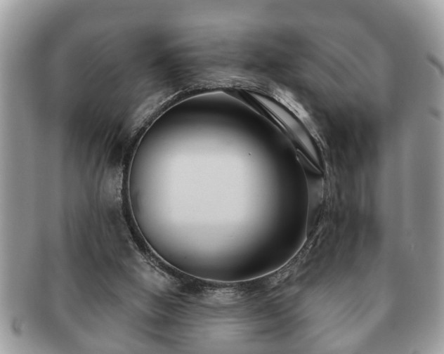 X0000091170058200708161506