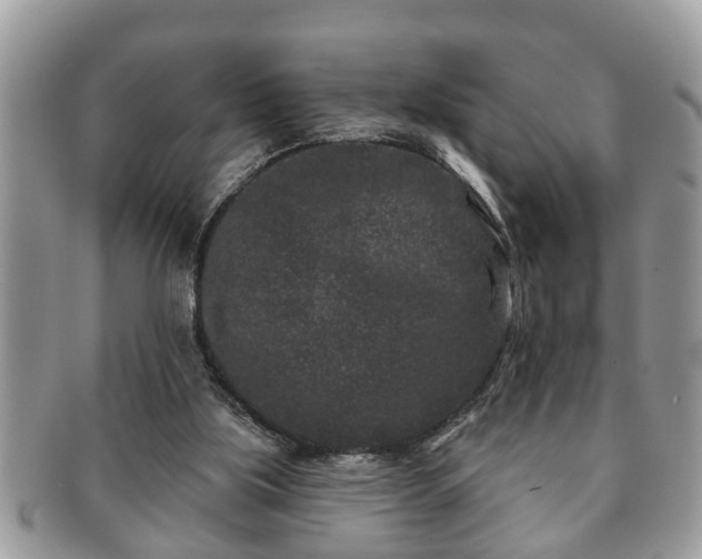 X0000091170059200708161506