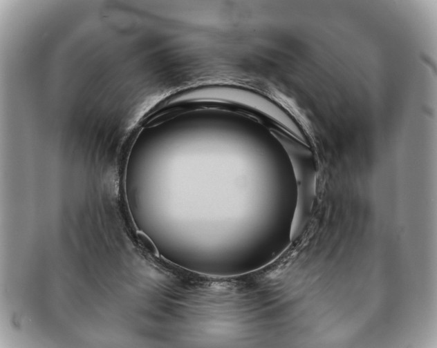 X0000091170060200708161506