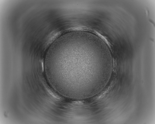 X0000091170061200708161506