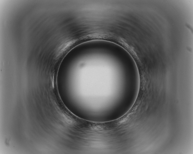 X0000091170062200708161506