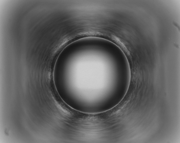 X0000091170063200708161506