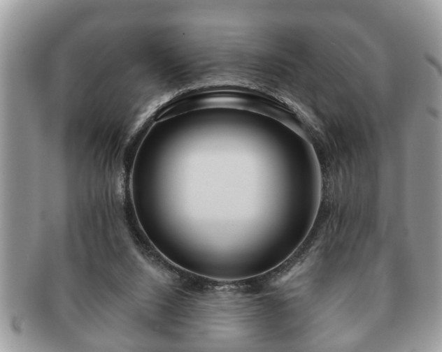 X0000091170064200708161506