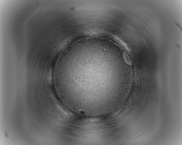 X0000091170065200708161506