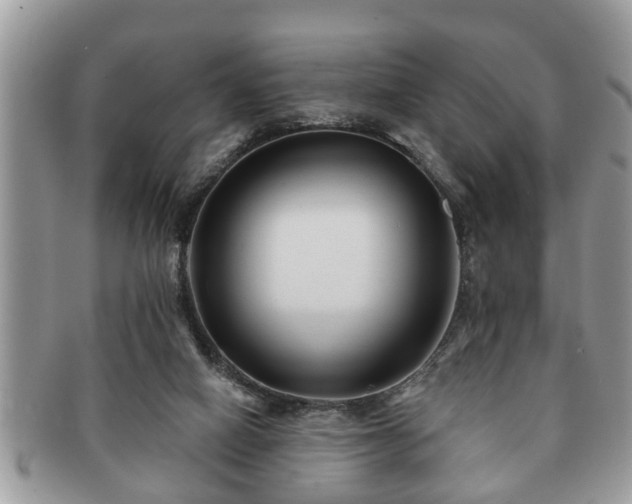 X0000091170066200708161506