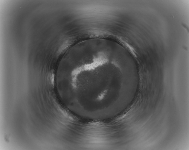 X0000091170067200708161506