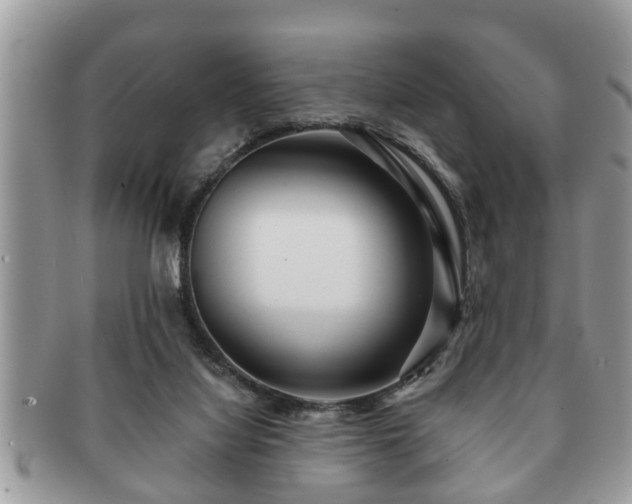 X0000091170068200708161506