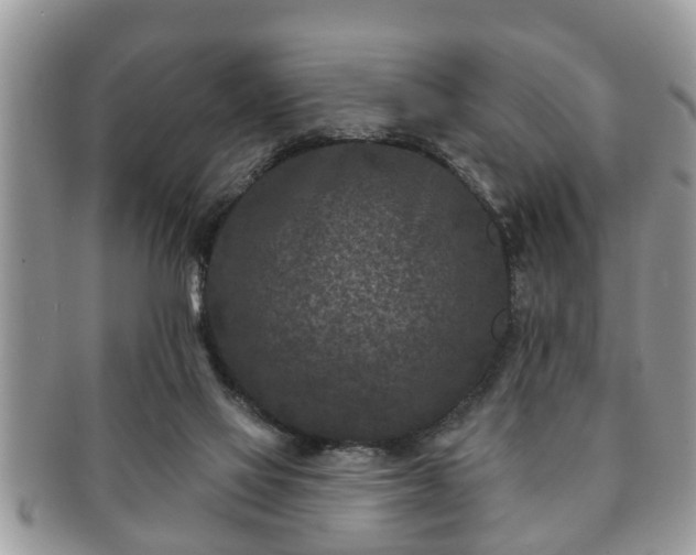 X0000091170069200708161506