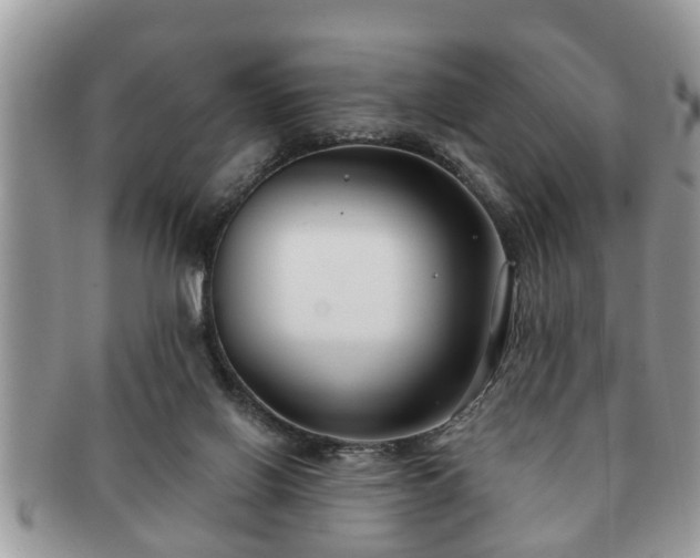 X0000091170070200708161506