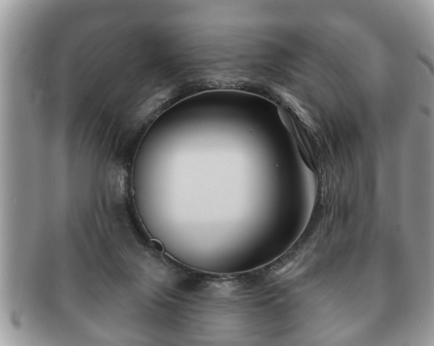 X0000091170071200708161506