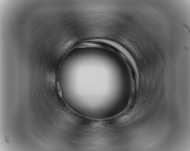 X0000091170072200708161506