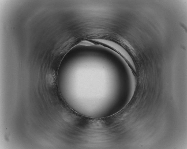 X0000091170073200708161506