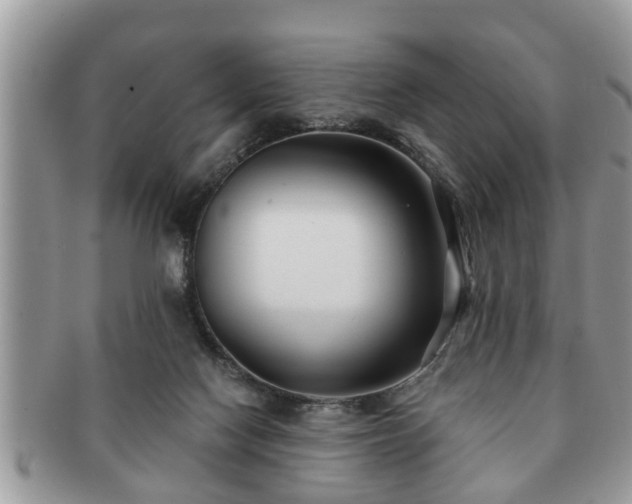 X0000091170074200708161506