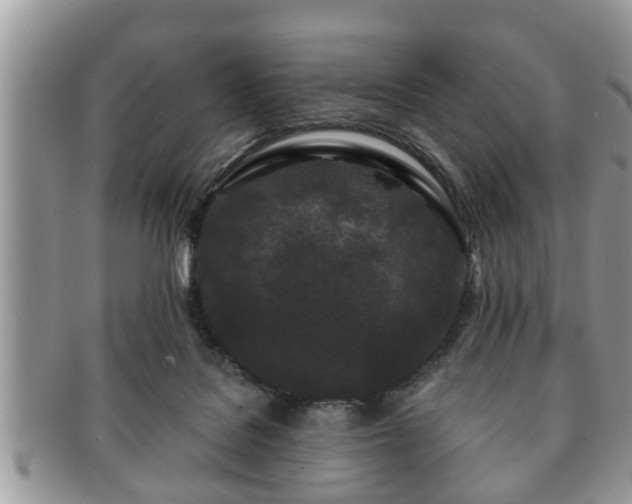 X0000091170076200708161506